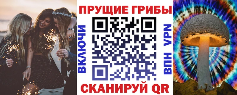 Галлюциногенные грибы мицелий гидра как зайти Сертолово где купить