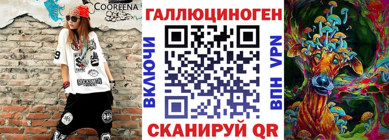 Псилоцибиновые грибы Psilocybine cubensis Сертолово
