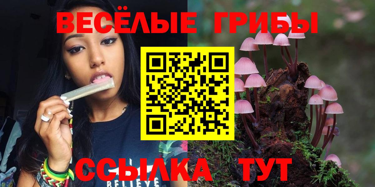 Сертолово  Галлюциногенные грибы GOLDEN TEACHER  Вход с VPN  Псилоцибиновые грибы мицелий 